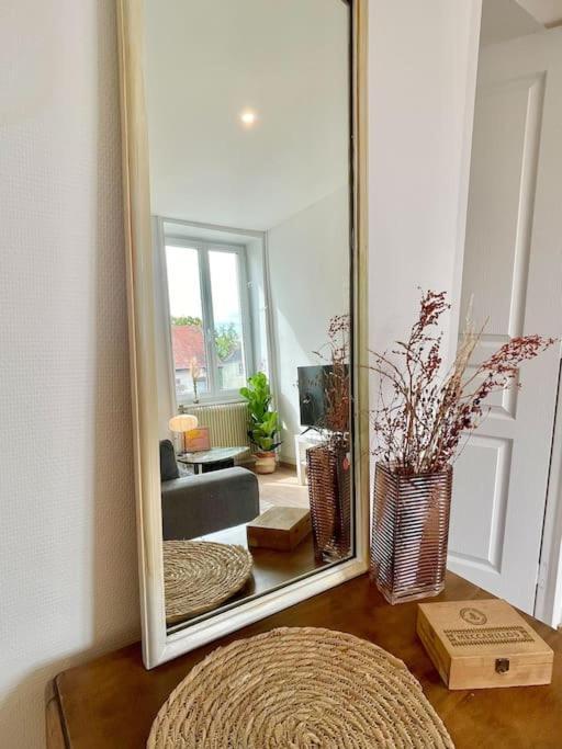 1 Appartement 3P Ideal Famille Travail Renove Lumineux Parking Gratuit Mulhouse Exteriör bild