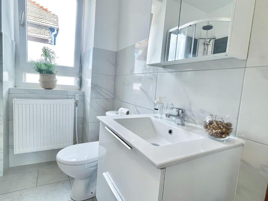 1 Appartement 3P Ideal Famille Travail Renove Lumineux Parking Gratuit Mulhouse Exteriör bild