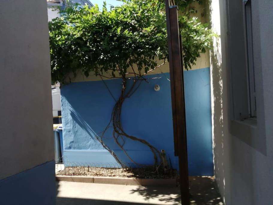 1 Appartement 3P Ideal Famille Travail Renove Lumineux Parking Gratuit Mulhouse Exteriör bild